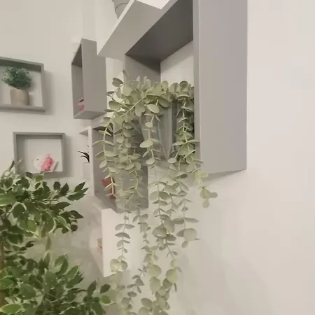 Apartment Experience